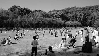 公园里有很多树 一大群人在那里。