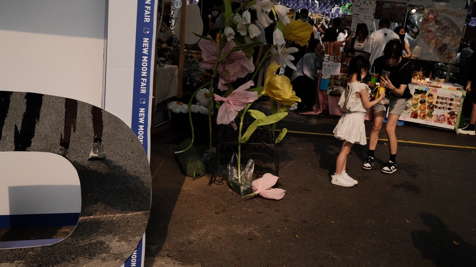 上面有年轻女孩图片的标志