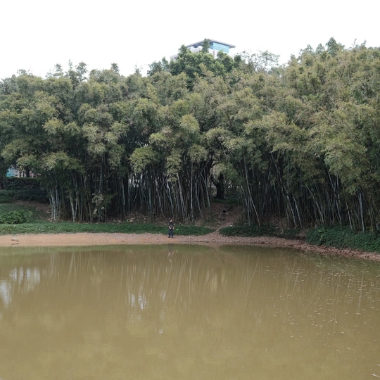 背景中有树木的水域 中间有站立着的人 背景中也有树木