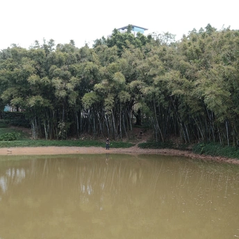 背景中有树木的水域 中间有站立着的人 背景中也有树木