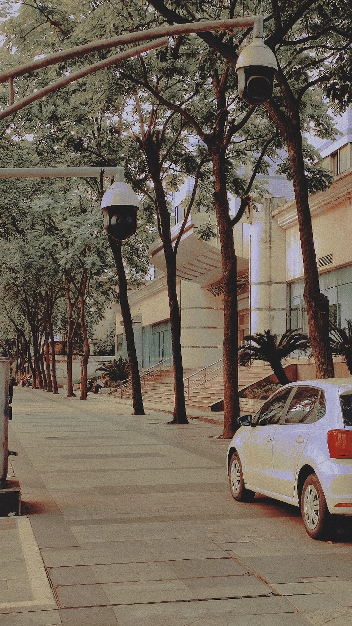 路灯与车