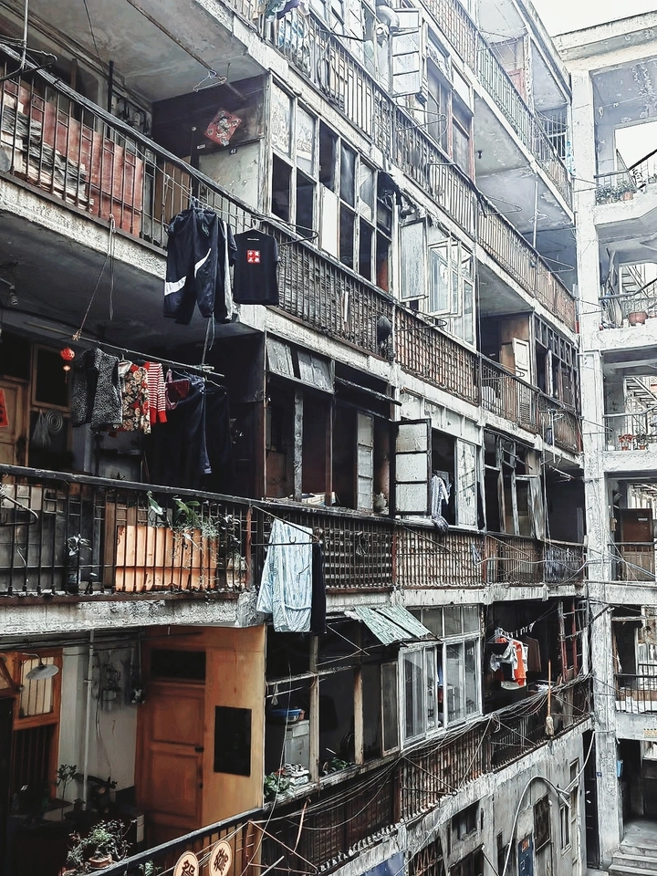 鸳鸯，消失的记忆