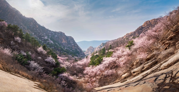 隐藏在大山里的桃花谷