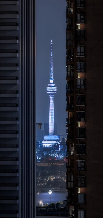 楼隙霓虹