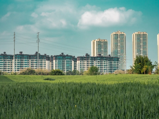 背景是高楼大厦 前景是绿草如茵的城市景观