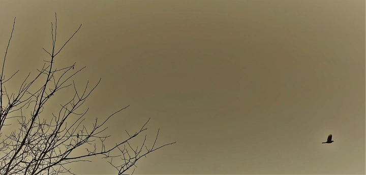 安空