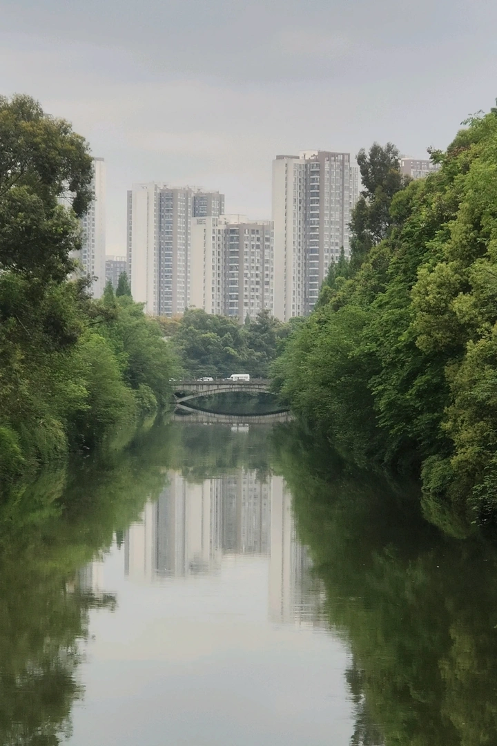 惬意的生活