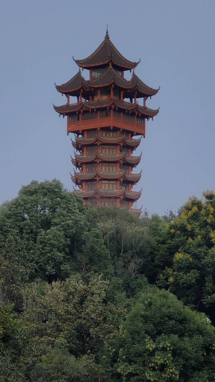有阳光就有灿烂