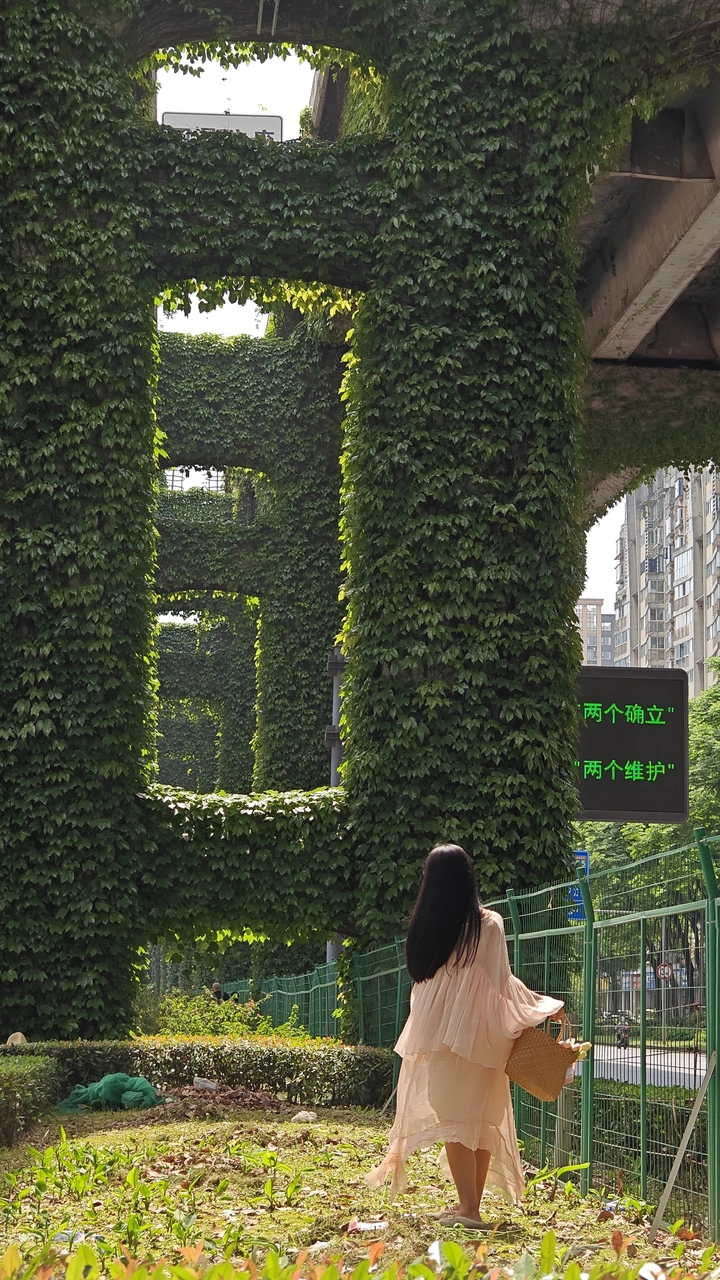 绿意盎然