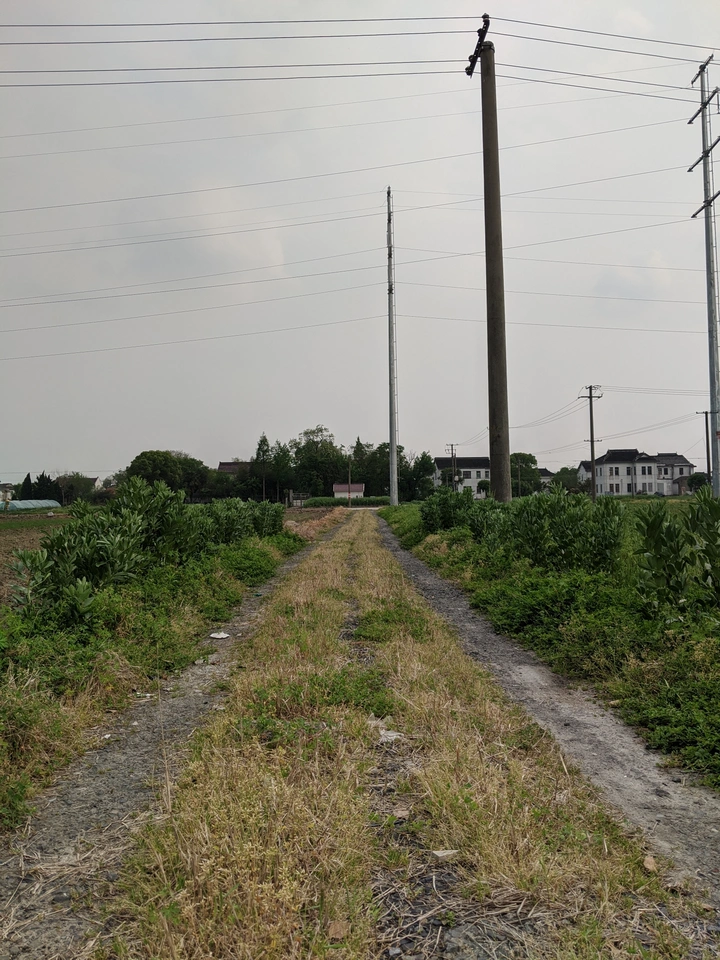 人生道路