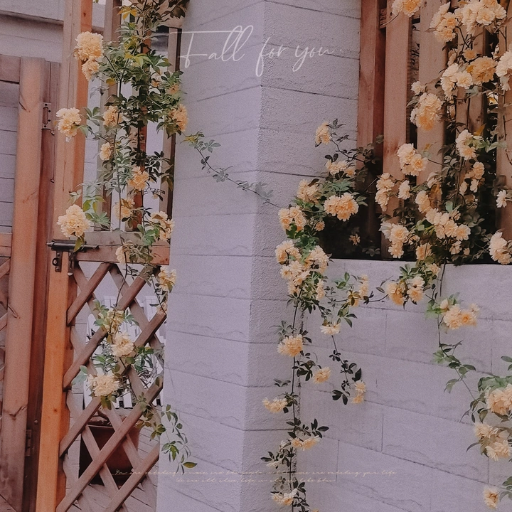 春