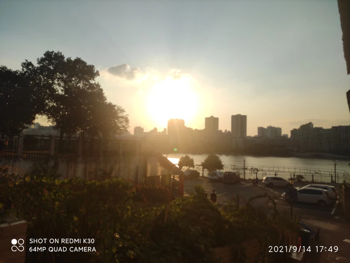 夏阳