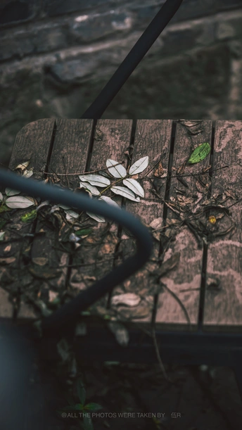 座位上有花的木凳