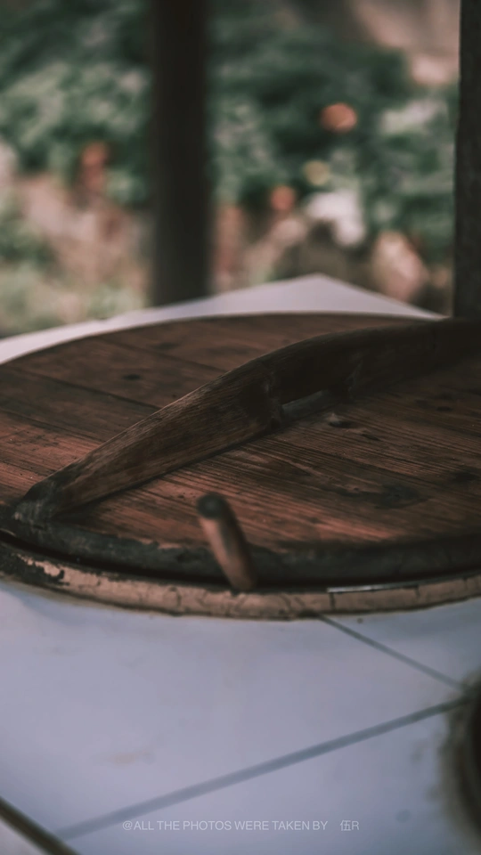 树旁木桌上的白色冲浪板