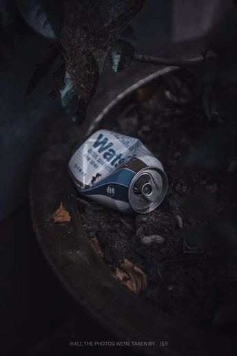 一个罐子放在树旁边的地上