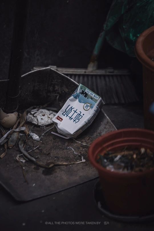 地上一本书 旁边是一株盆栽和其他垃圾