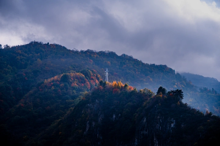 雷神之林