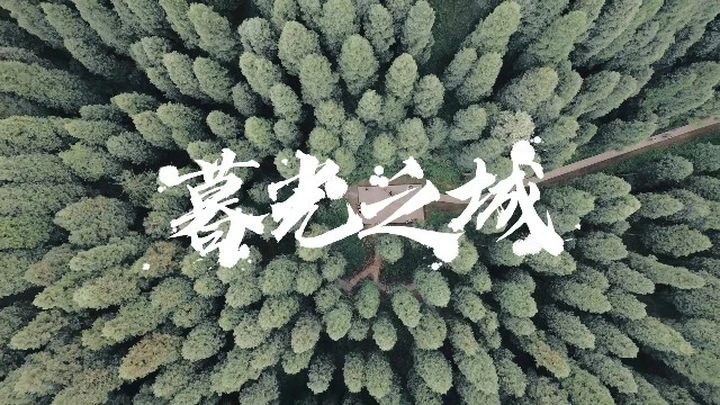 中坝森林-绿野仙踪