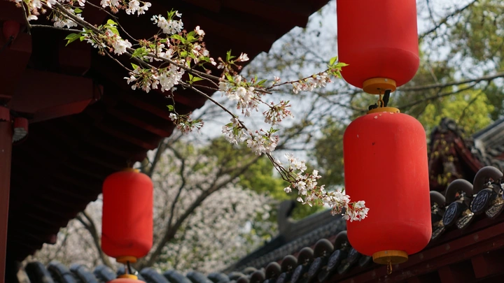 樱花园