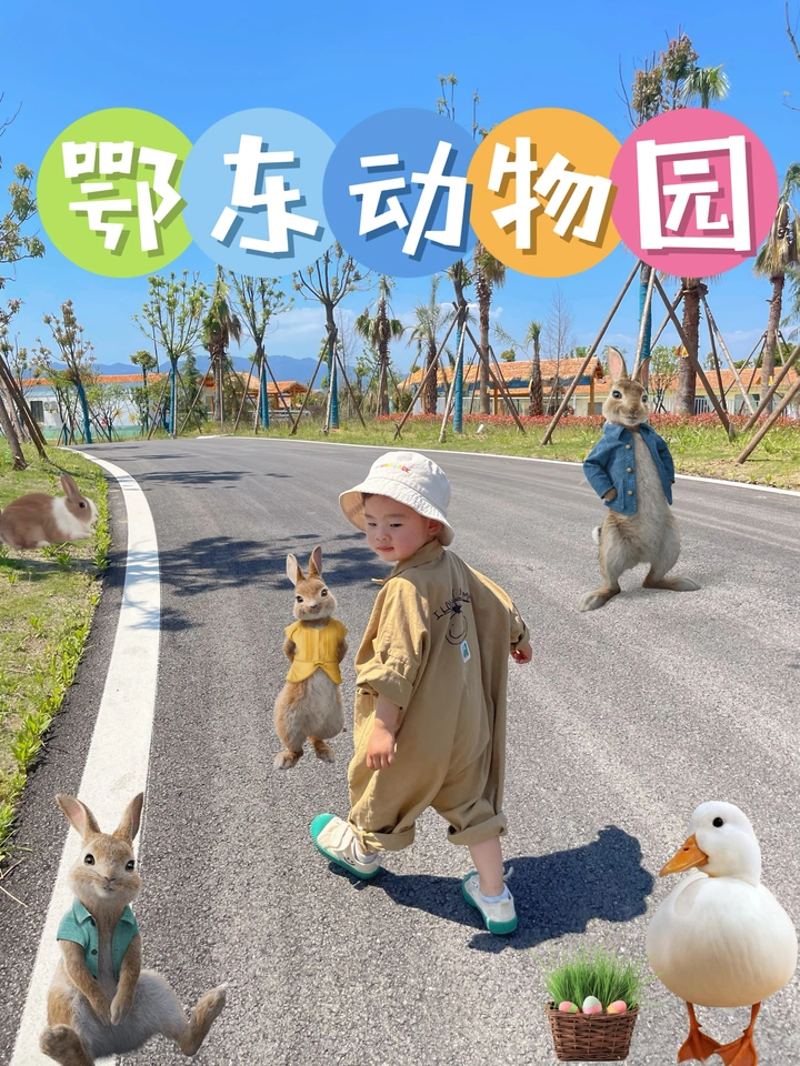 儿童节➕2周岁➕端午节