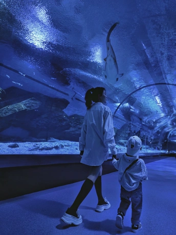 一个女人和一个小女孩站在一个大水族馆里看着一条鲨鱼和其他鱼