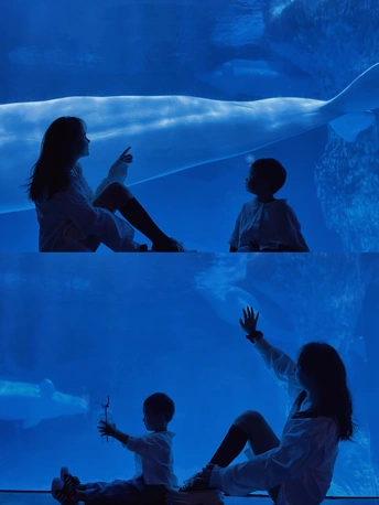 人们在观看一个蓝色海水的大型水族馆 一个男孩坐在水箱底部