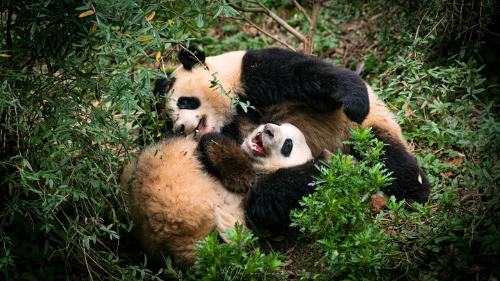这黑眼圈是否有你的模样？