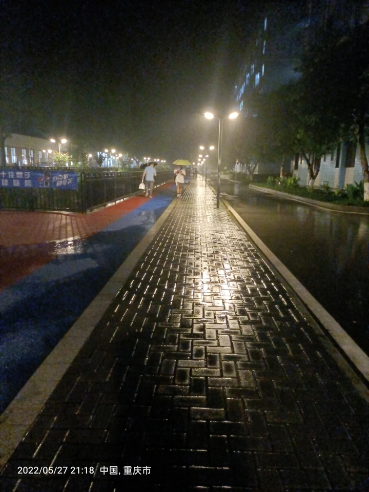 雨夜独游