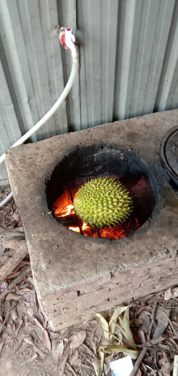 红红火火