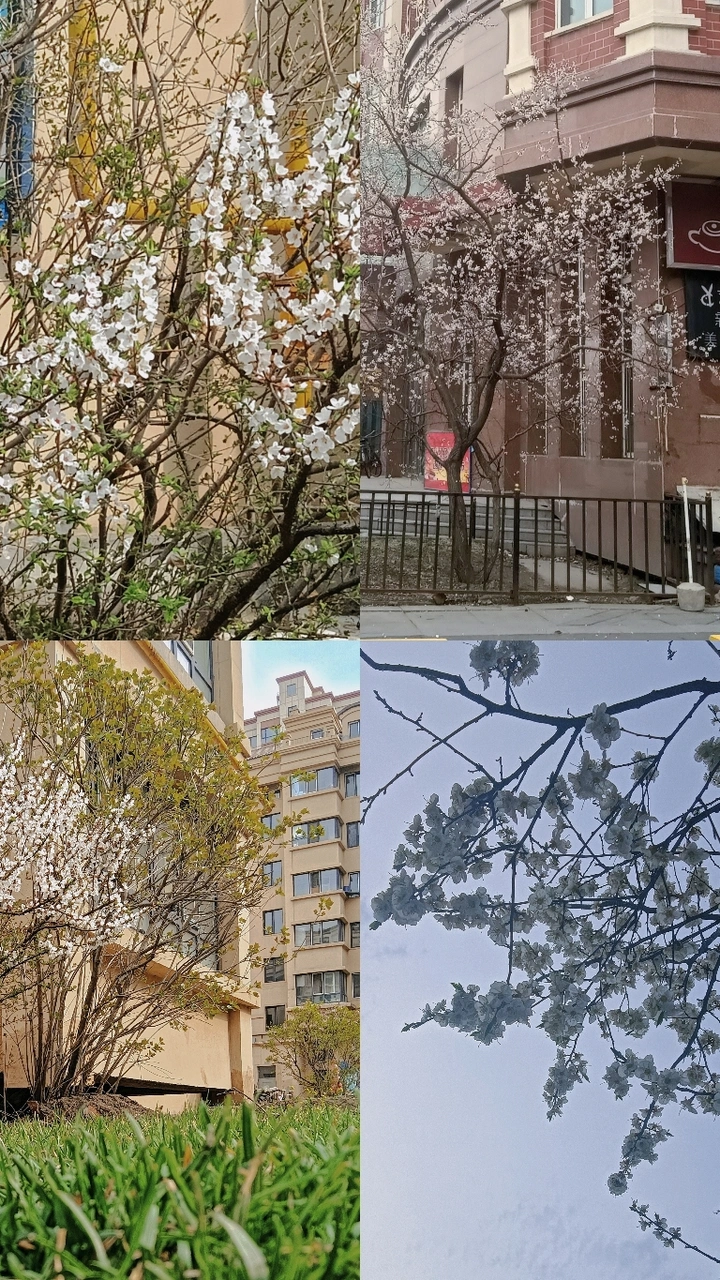 春暖花开