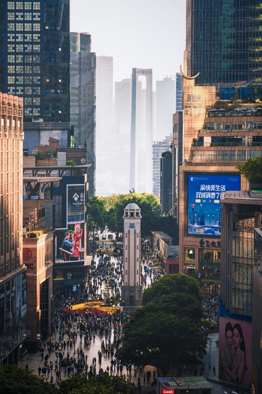 一个人口众多、行人如织、高楼林立的城市街道