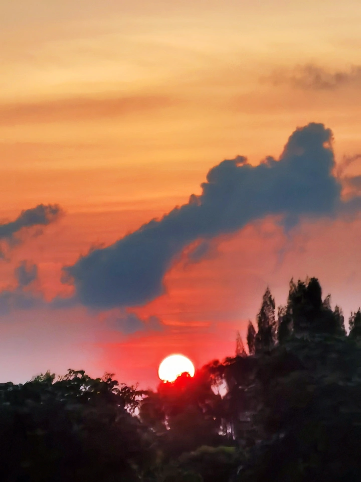 🌇
