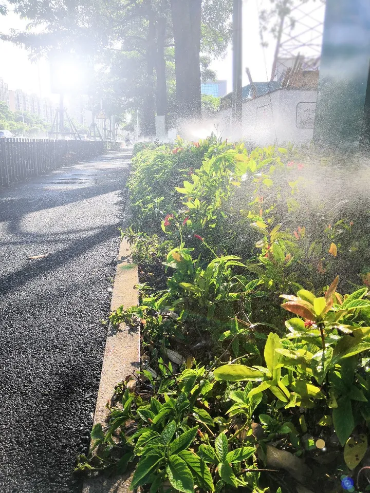 路边小草正在沐浴