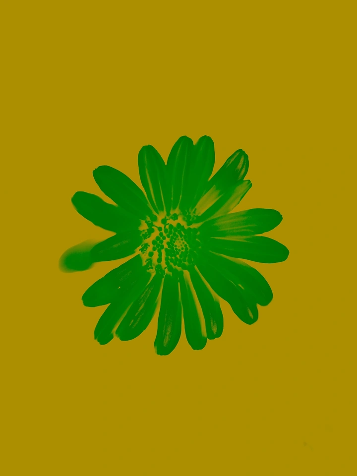 反色