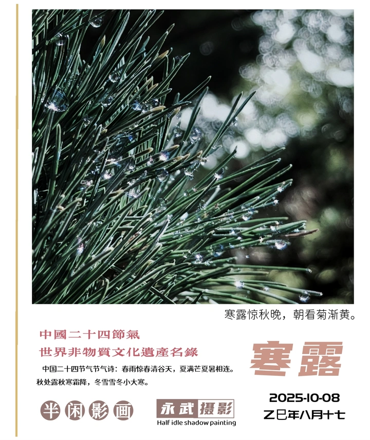 【中国二十四节气】💐寒露