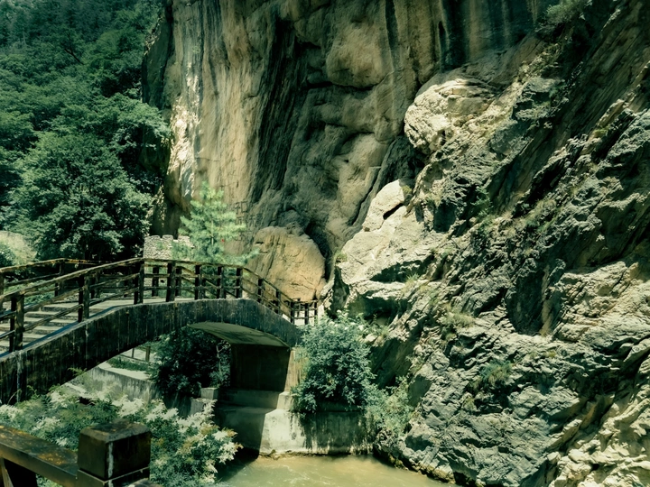 随手拍