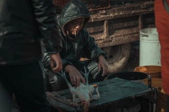 在中国的一个市场中 一个年轻男孩正在准备食物 而一个妇女正在准备鸡肉或鱼。