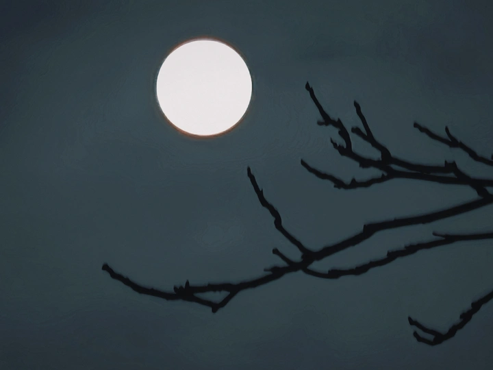 月挂枝头