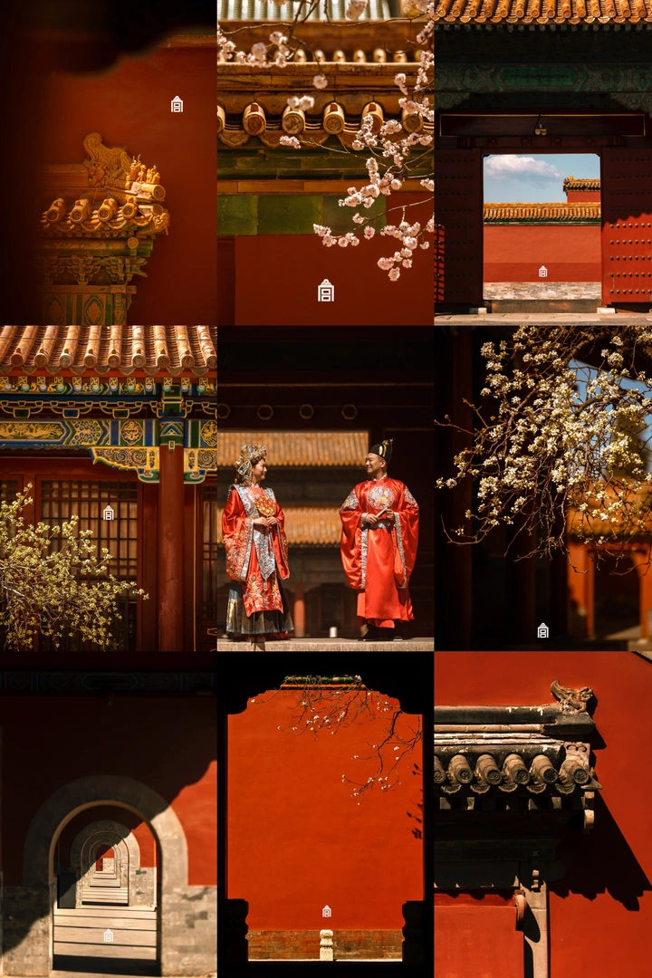 紫禁城·花事·囍事