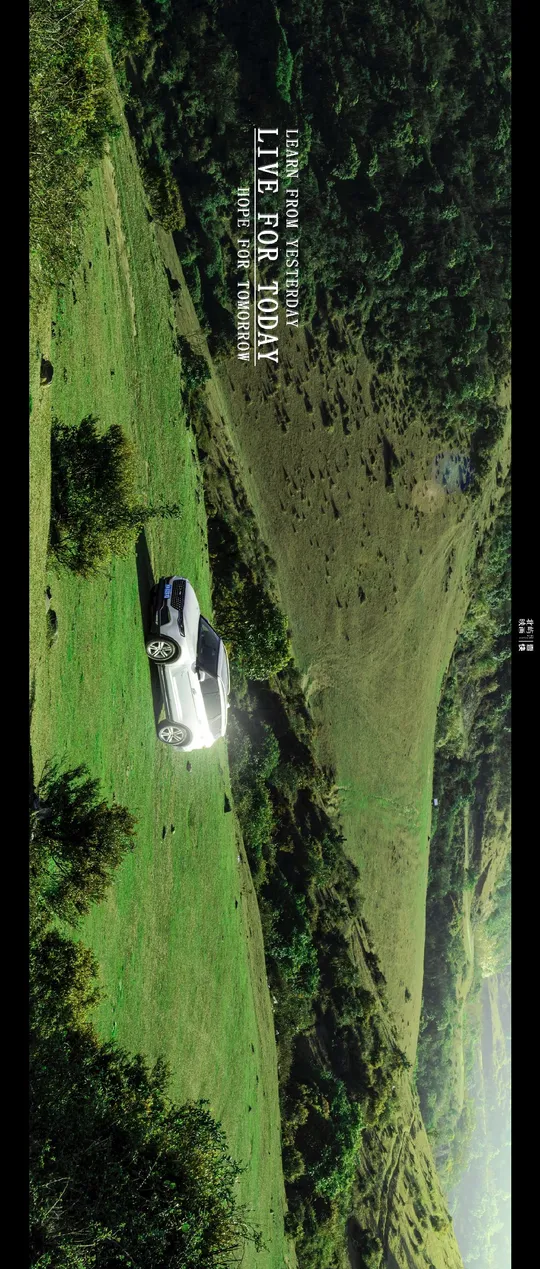 草地上的一辆卡车和一辆汽车