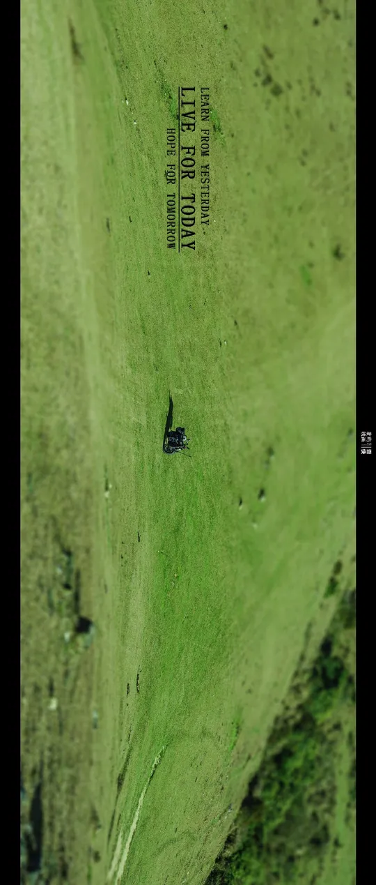 一片绿色的草地和水域的空中视角