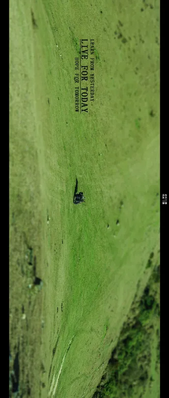 一片绿色的草地和水域的空中视角