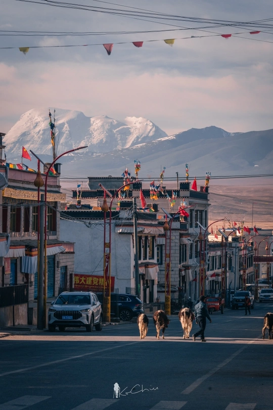 背景是小镇和山脉 前景是公路上的汽车和地上的动物。