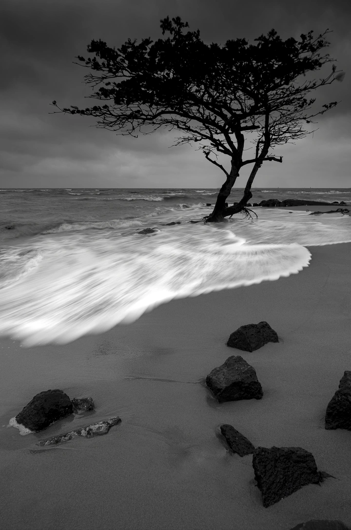 海浪