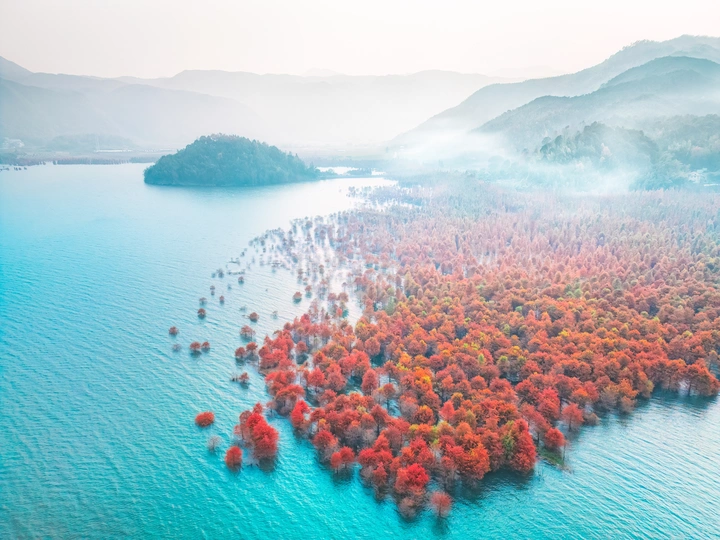 山河忽已秋