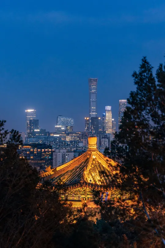 夜晚的城市 建筑和树木的天际线