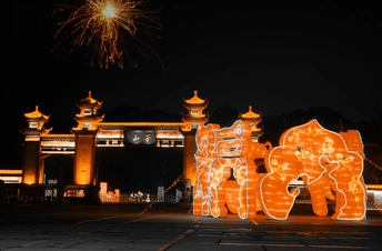 夜晚被烟花点亮的建筑物