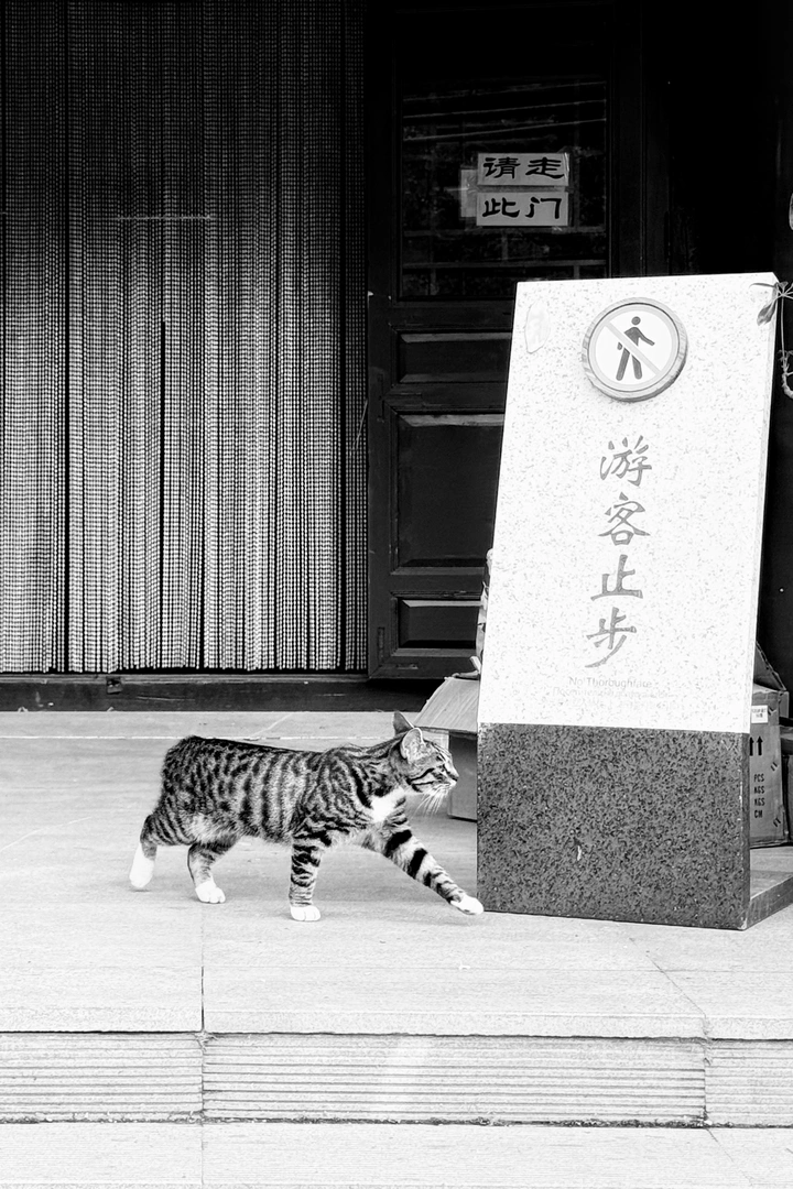 游客止步
