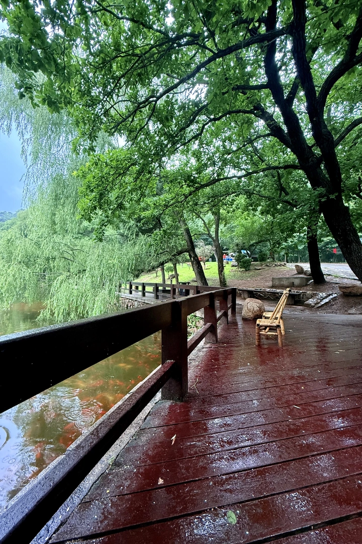 夏雨中的等待
