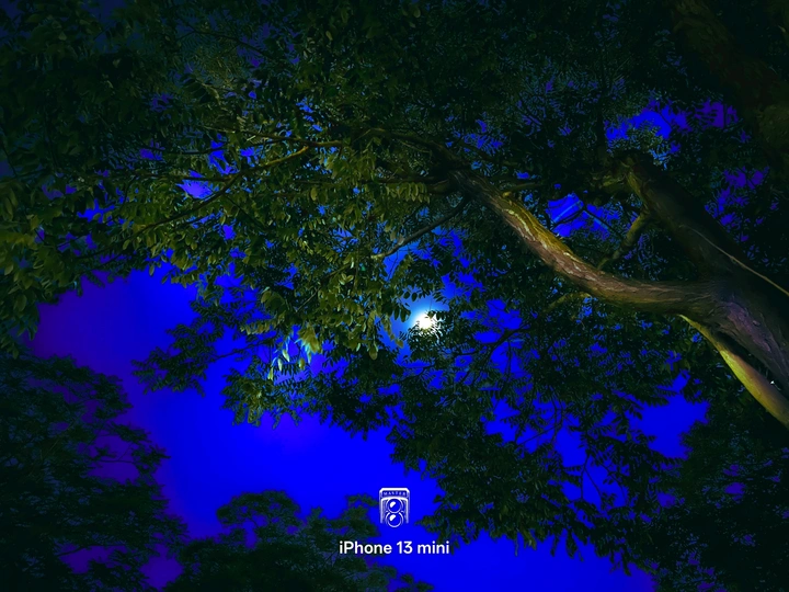 月夜